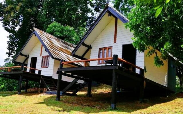 Jungle Guesthouse in Pangmapha, Thailand from 39$, photos, reviews - zenhotels.com