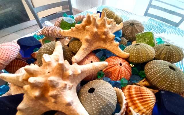 Europa 34 in Diano Marina