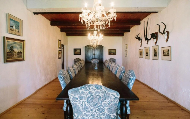 Endless Vineyards at Wildekrans Wine Estate