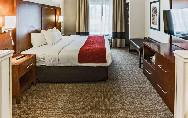 Comfort Suites Salisbury I-85