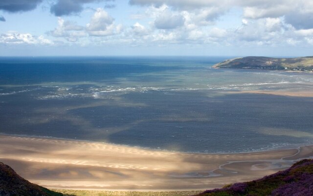 Coastal Gem