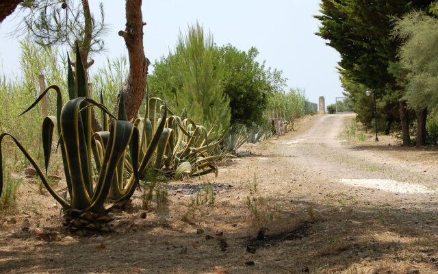 Villa Boschetto B&B - Apartments