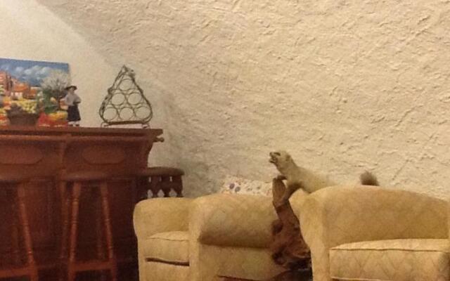 Le son de la bresque - Sillans-La-Cascade