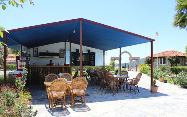 Pinara 9
