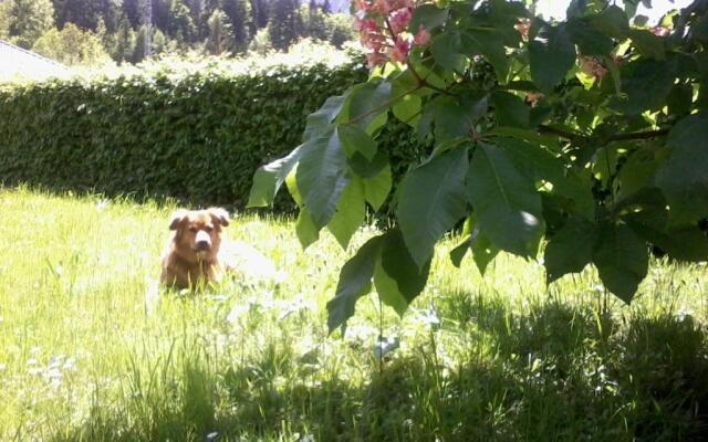 Ferienwohnung Am Pflanzgarten