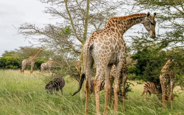 Sleepover Kruger Gate