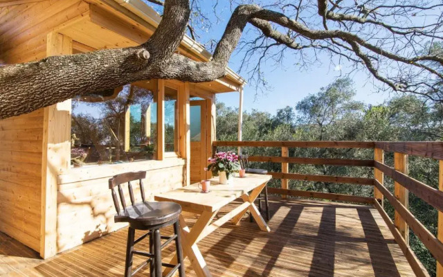 Romantic Tree House