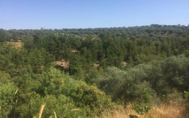 Ahla Vert View