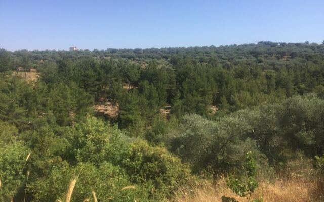 Ahla Vert View