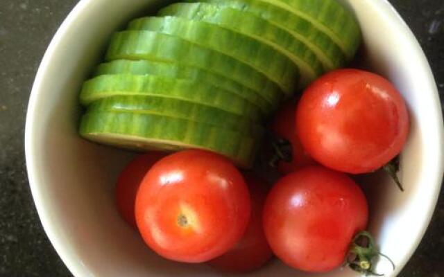 Bij en Boom Bed & Breakfast