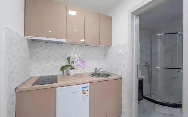 Cozy Apartments Kostovic