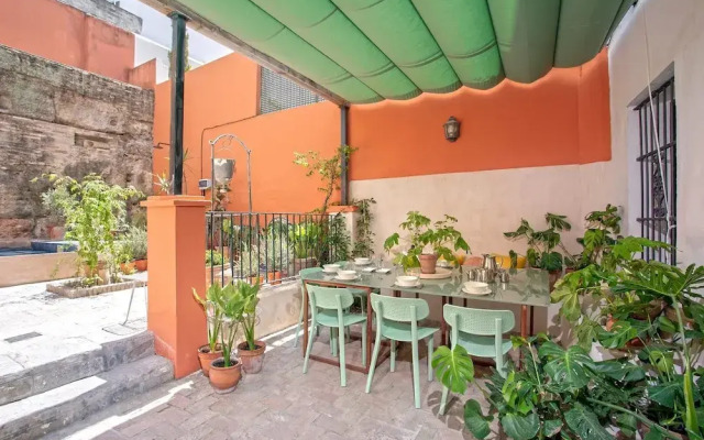 Genteel Home Tintes
