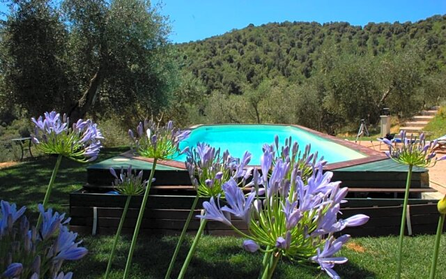 Bed and Breakfast Il Pino