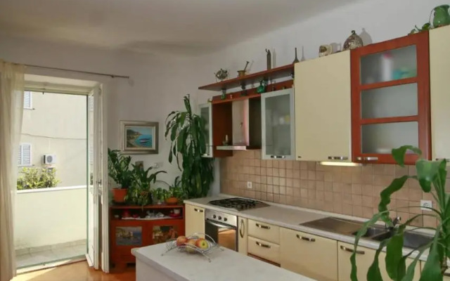 Spacious apartment in the center