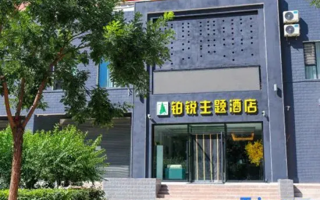 Datong Borui Theme Hotel
