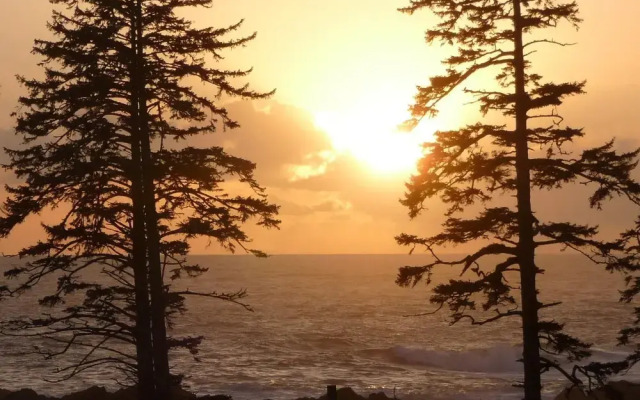 Pacific Rim Retreat