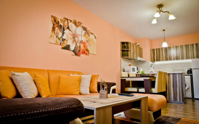 Sunflower Apartment City Center