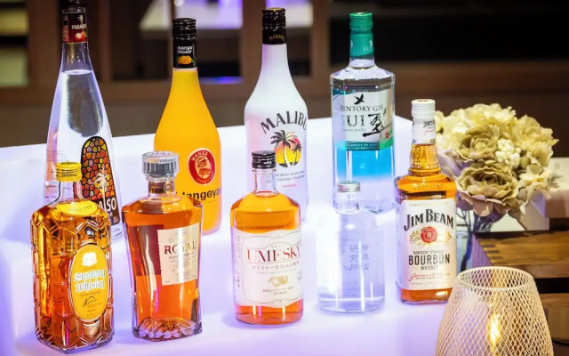 Super Hotel Premier Toyama Castle Park