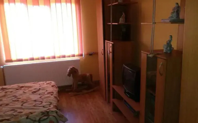 Pensiunea Alex si Tedi