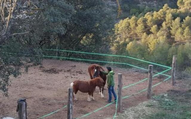 Masia CasaJoana Rural