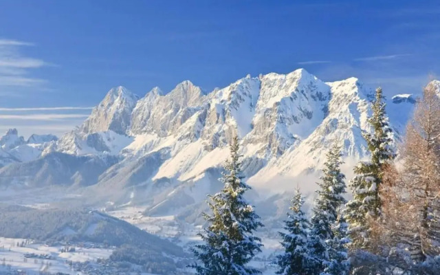 Double Room in Saalfelden by the Steinernes Meer