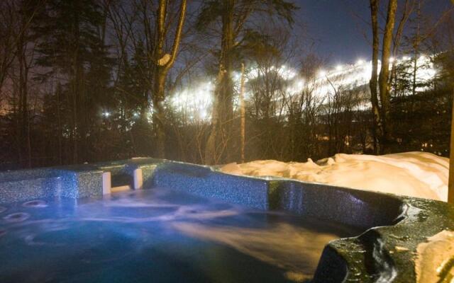 Chalets Alpins -41 Chemin des Skieurs