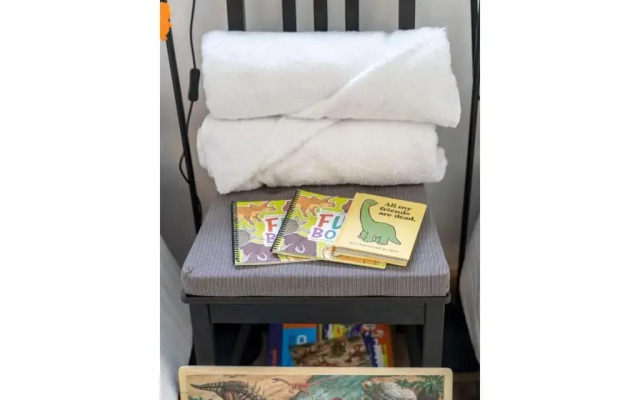 Triceratops Landing I Fire Place I Games I Netflix