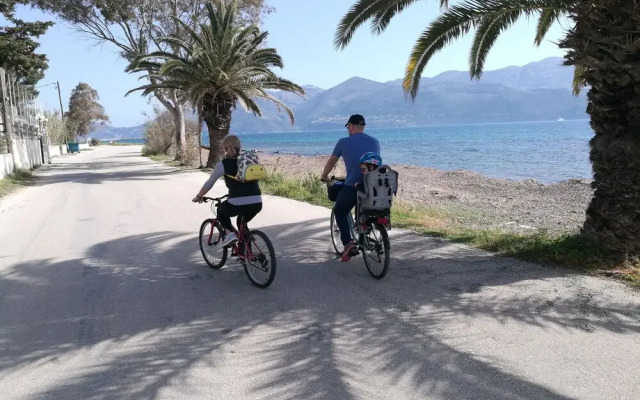 Alekos Beach Houses - Alekos Beach Complex