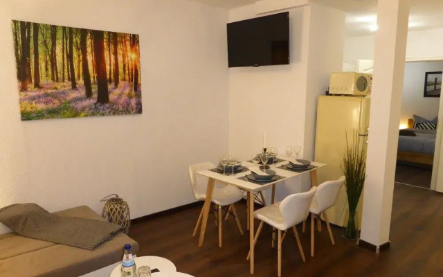 Apartment Goethe