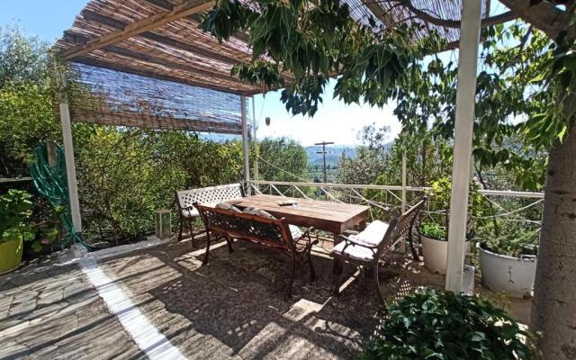 Heras Garden