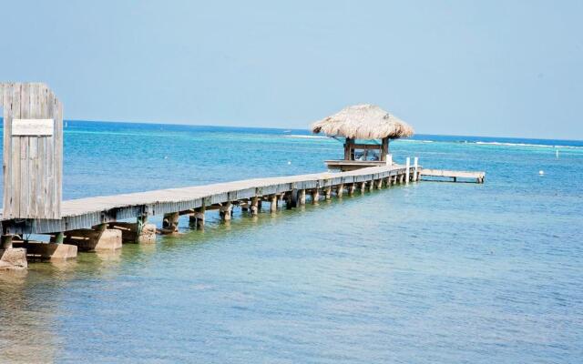 Blue Island Divers Casa Descanso