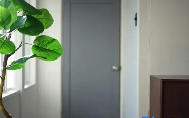 Kuri Apartment