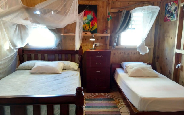 Mainroad Suite