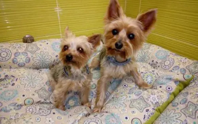 Casa Rural "El Paseo del libro"