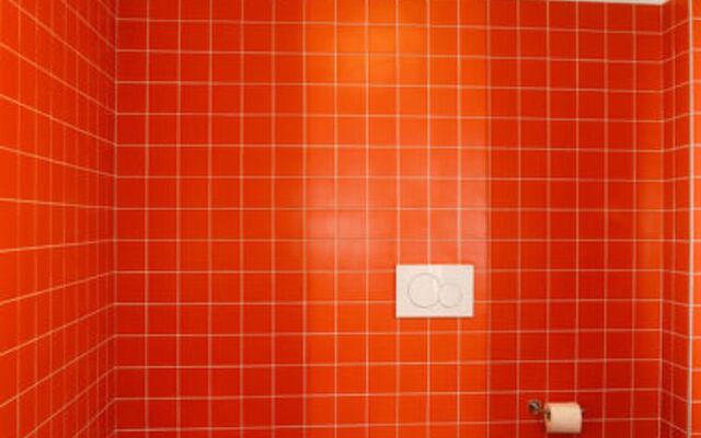 Cjase Fravins (RVO113)