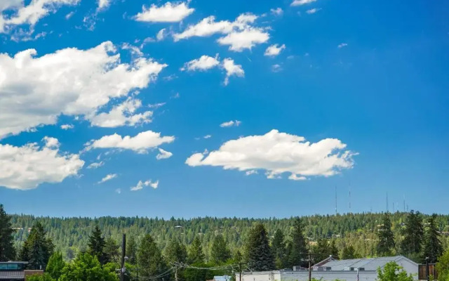 Downtowner-AC-2BR/1BA