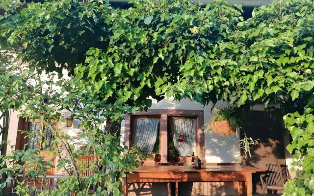 Room-double Room Apple Blossom