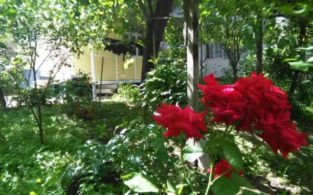 Guest House Marta