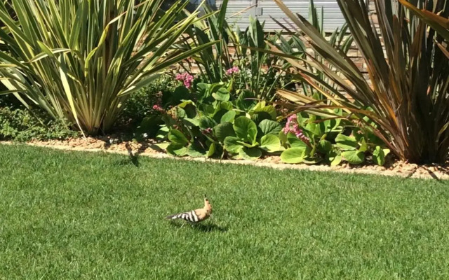 Luxurious T2 apartment, Olhos Dagua