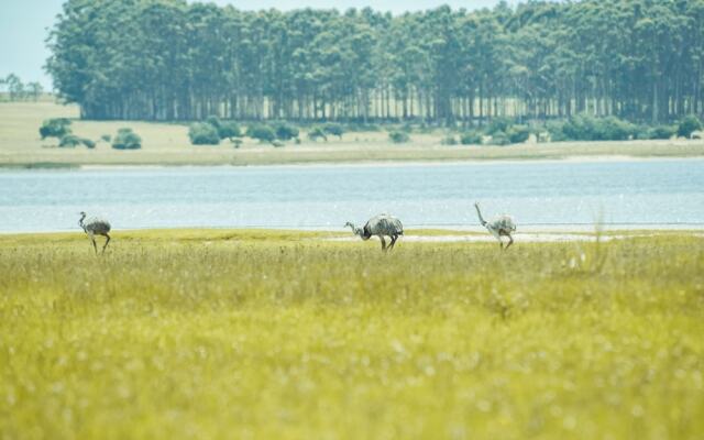 Estancia Anastasio by Folk