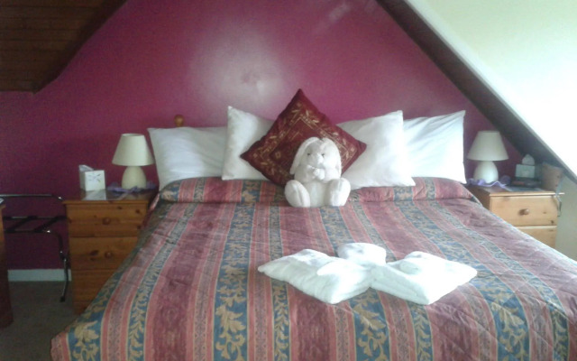 Springfield B & B