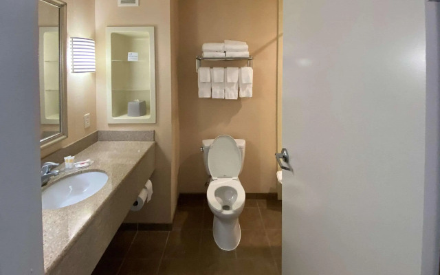 Comfort Inn & Suites Chestertown