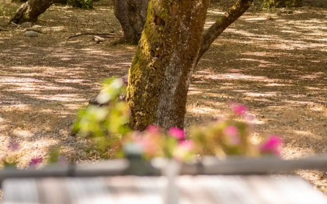 Aroanides By Mountain Hotels