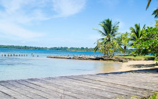 Twin Fin Hostels
