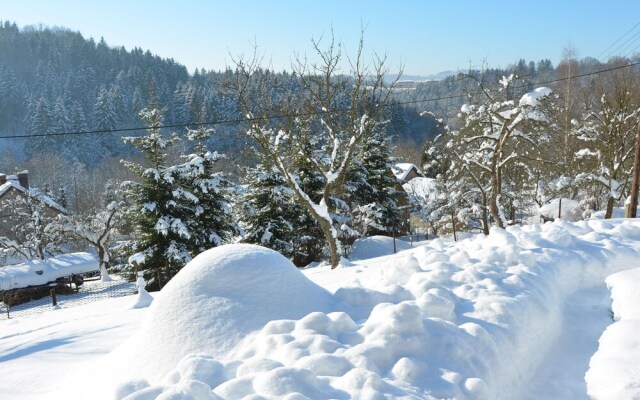 Modern Mansion in Bene ov u Semil With Pool