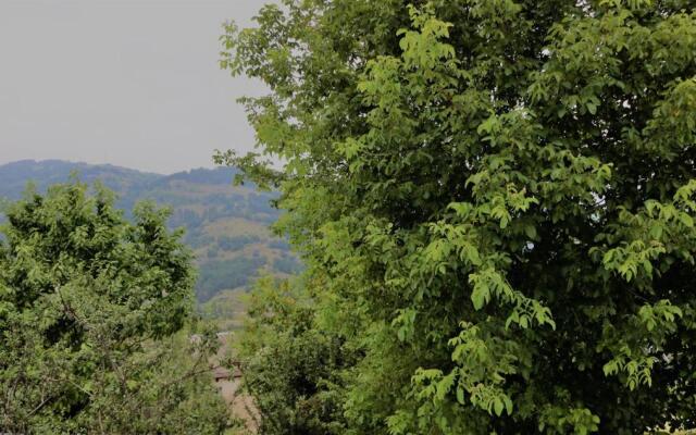 Dilijan Family House