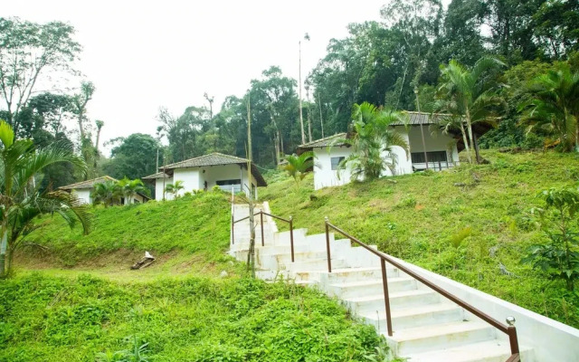 The Nest Bettathur Coorg