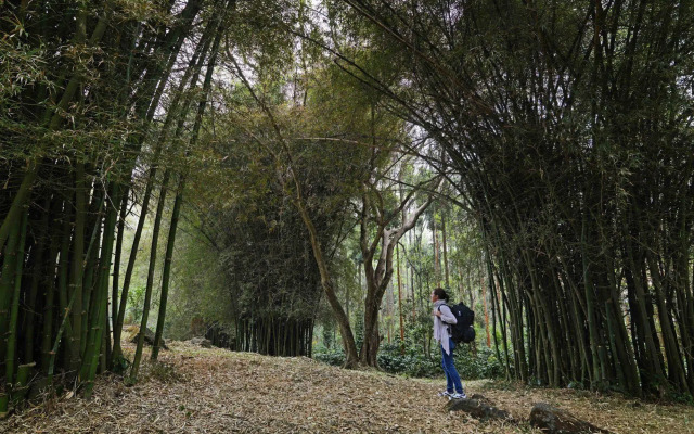 The Serai Chikmagalur