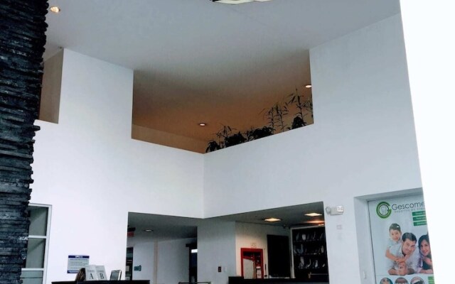 Olympus Apartments