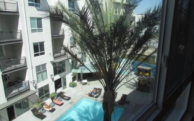 Full Amenities One Bedroom